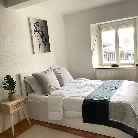 Appartement La Petite Venise Colmar Kültér fotó