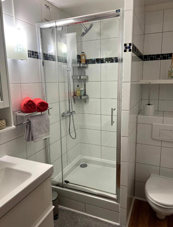 Appartement La Petite Venise Colmar Kültér fotó