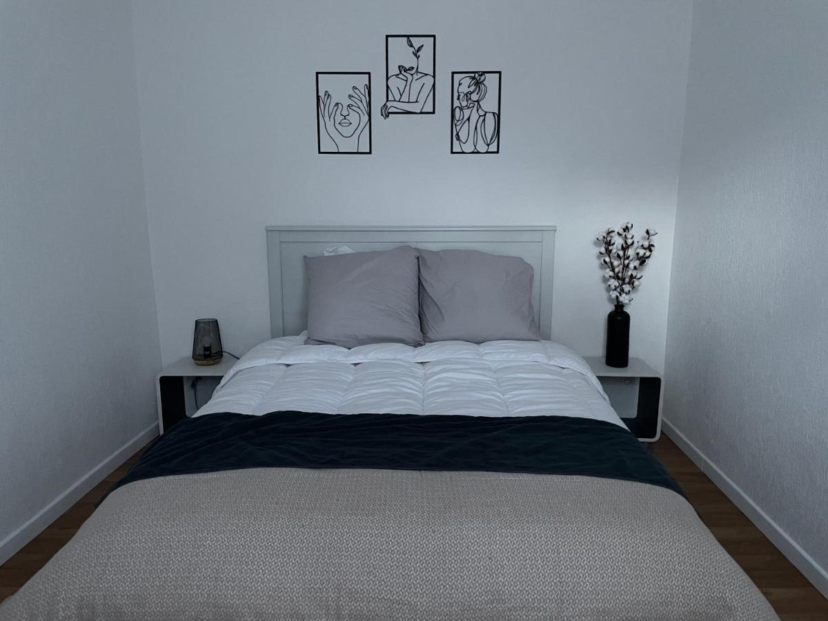 Appartement La Petite Venise Colmar Kültér fotó